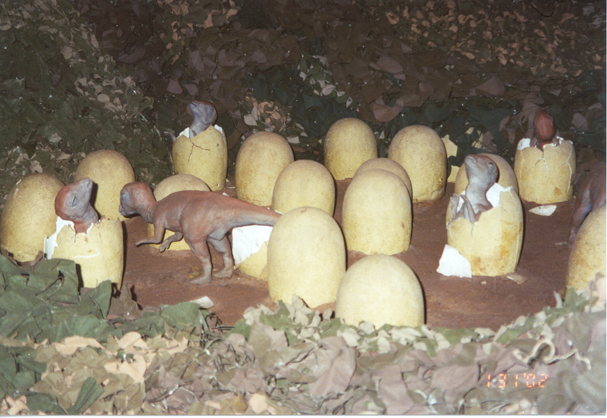 ./Ragtime/13 - Flint MI Jan 31 to Feb 01/picture5.jpg